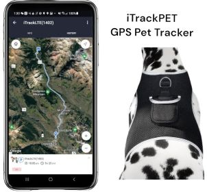 NEW Rechargeable GSM Cat Dog GPS Collar Tracking Device for Pet Safety Size:S