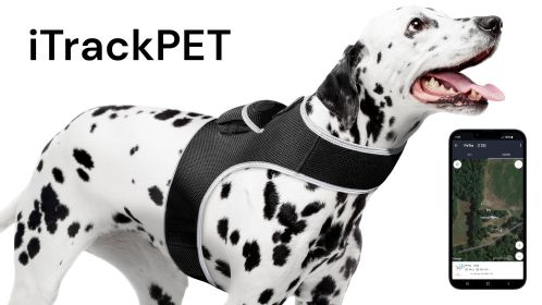 Pet Locator Collar GPS GSM Waterproof Rechargeable Dog Tracking Device Size:S