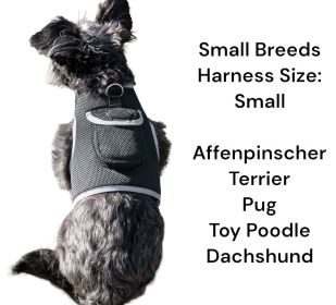 Mini Dog Collar GPS GSM Tracking System Waterproof Fashionable Tracker Size:S