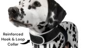 Pet Tracker Pet Locator Heavy Duty Realtime Collar Mini Tracker Best Dog GPS Tracker Size:S