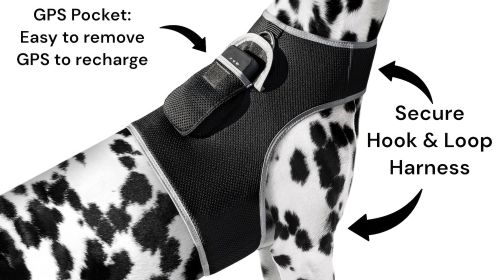 Mini Waterproof Real Time GPS GSM Pet Tracker Collar Mount for Dog/Cat Size:S