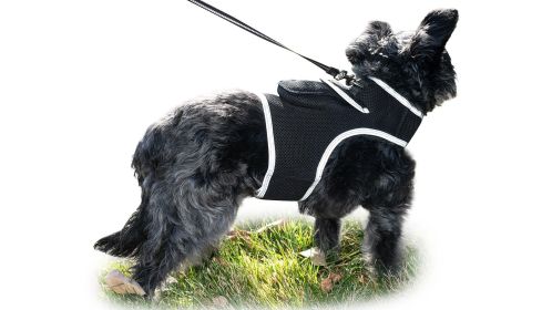 Locate Pet w/ GPS Dog Tracker Collar Mounted Realtime Tracking Device Size:S