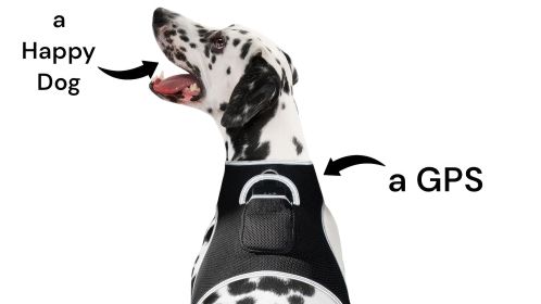 Mini Waterproof Dog Collar GPS Tracking Device Portable Pet Finder NEW Size:S