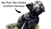 NEW Easy Set Up GPS Collars for Dogs Rechargeable Pet Tracker GSM GPRS Size:S