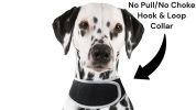 Mini Rechargeable GSM GPS Tracking Dog Collar Device Portable Locator Size:S