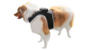 Pet Tracker Pet Locator Heavy Duty Realtime Collar Mini Tracker Best Dog GPS Tracker Size:S