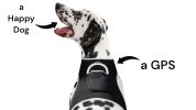 Pet Tracker GPS Dog Collars Tracking Device for Wireless Pet Surveillance Size:S